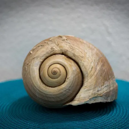 Gostinjska kuća Sobe Vukman - 3*